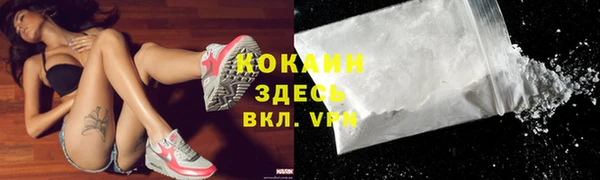 гашик Арсеньев