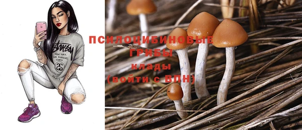 гашик Арсеньев