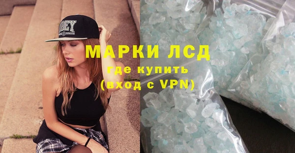 гашик Арсеньев