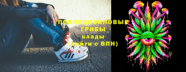 гашик Арсеньев