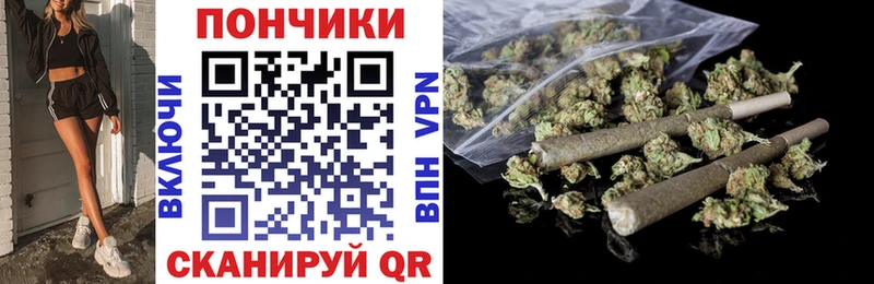 закладка  Тейково  Бошки Шишки планчик 